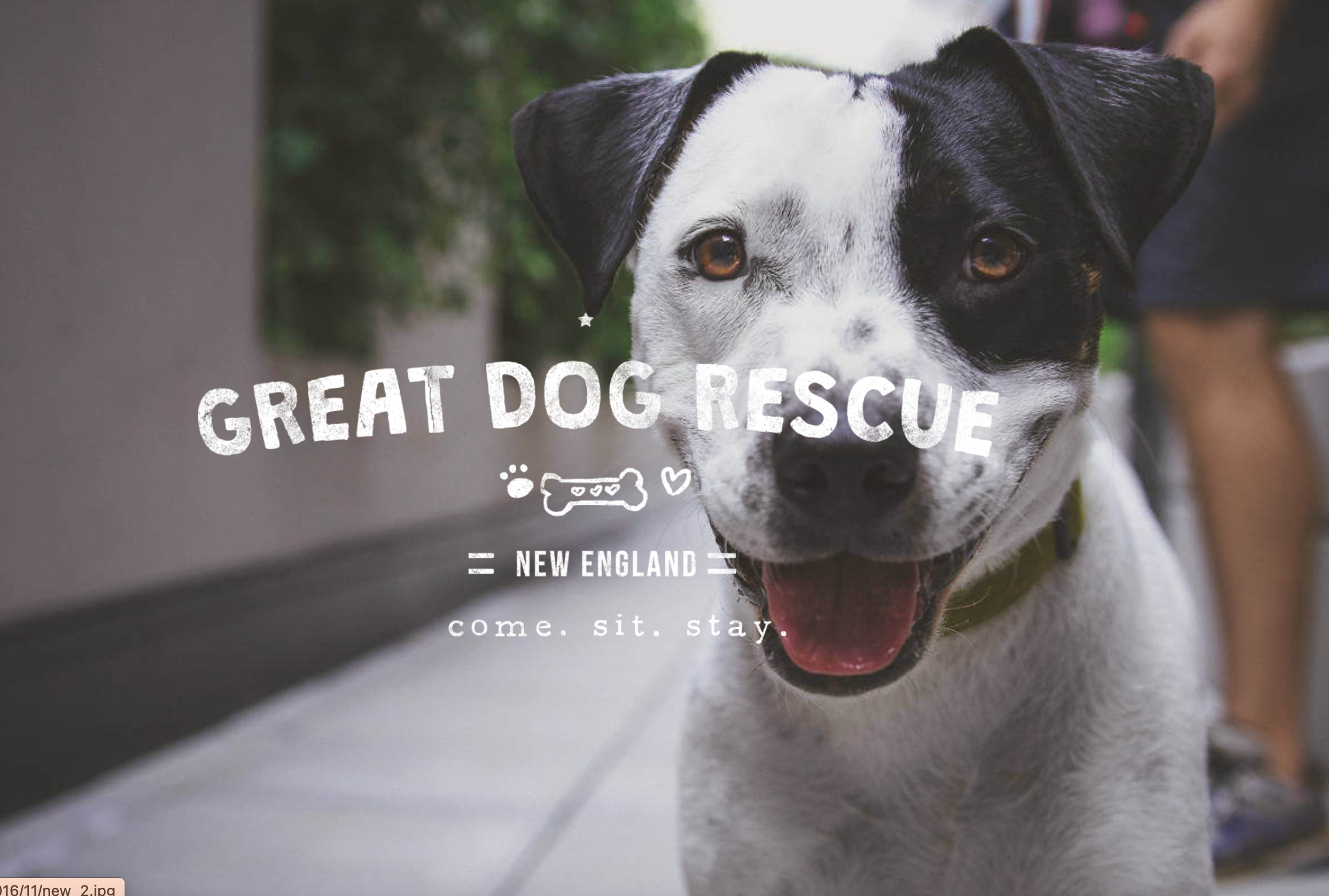 GDRNE Rescue Reunion