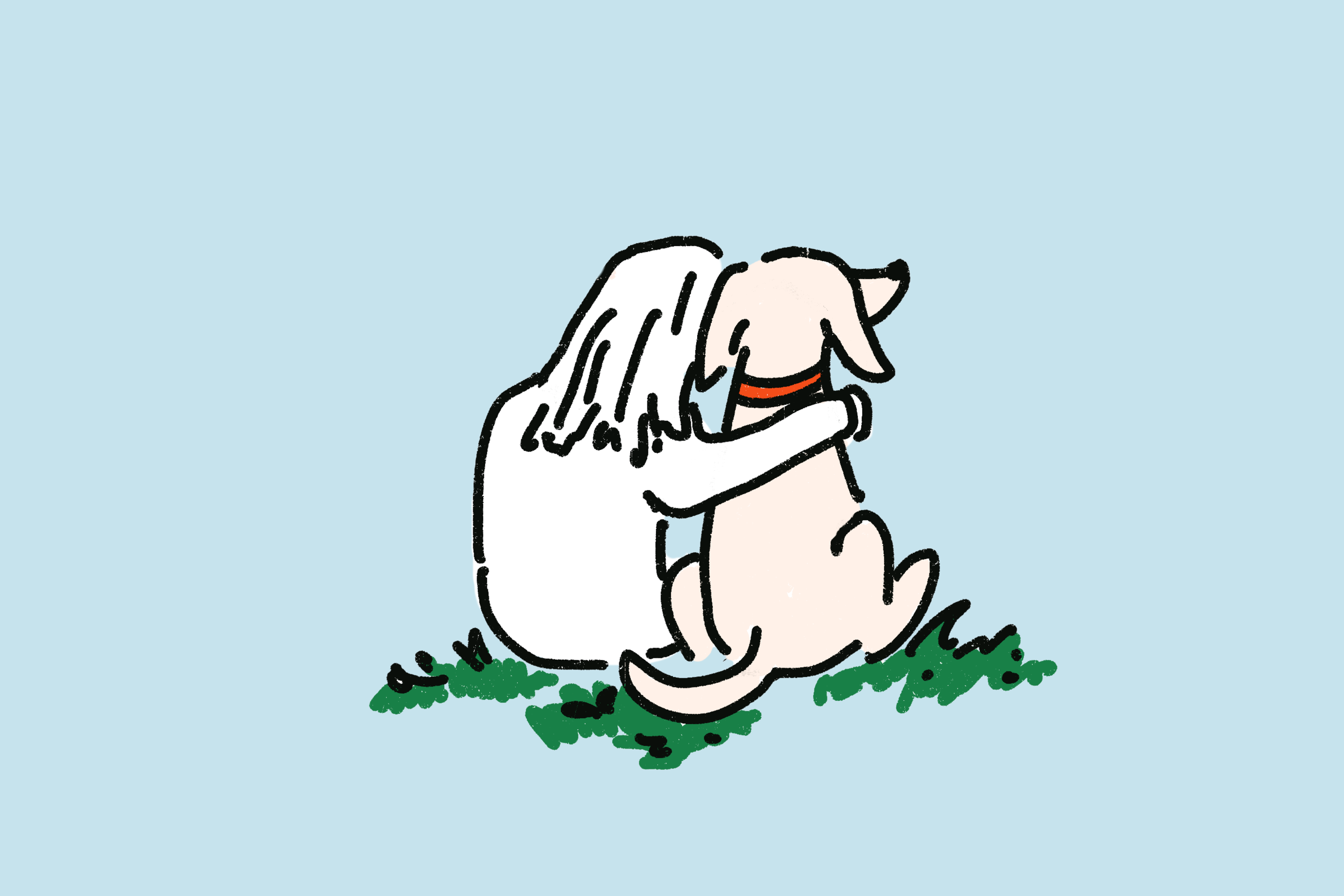 What I Wish I Knew About Grieving a Dog