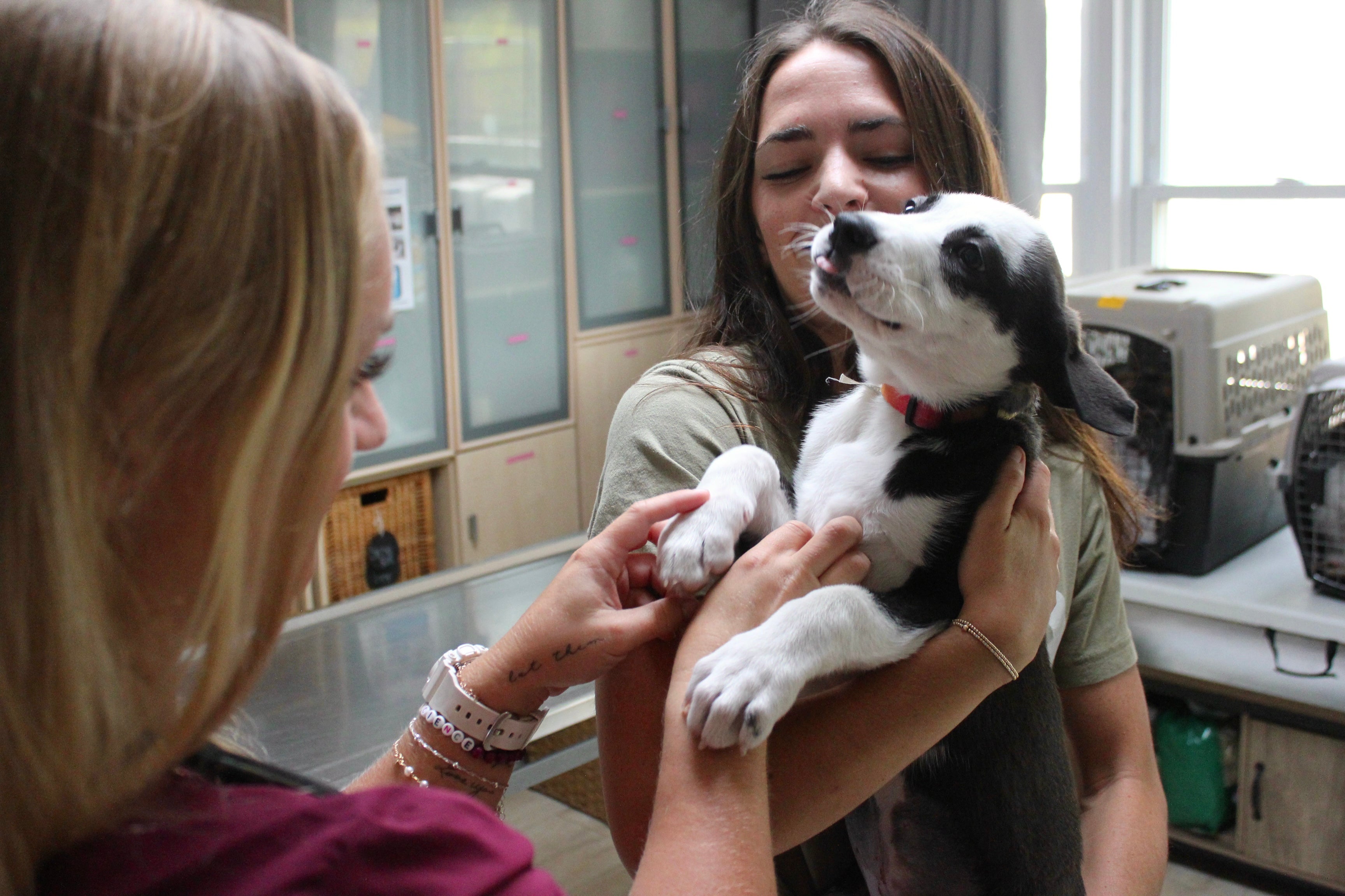 Mutt Missions: CASA Transport