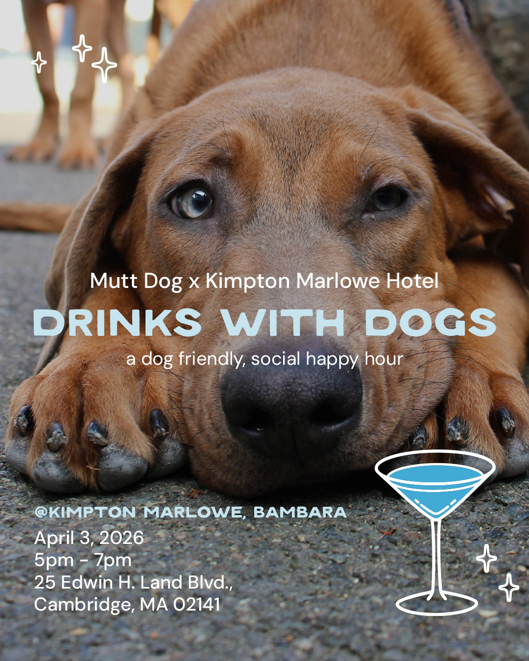 Drinks with Dogs!