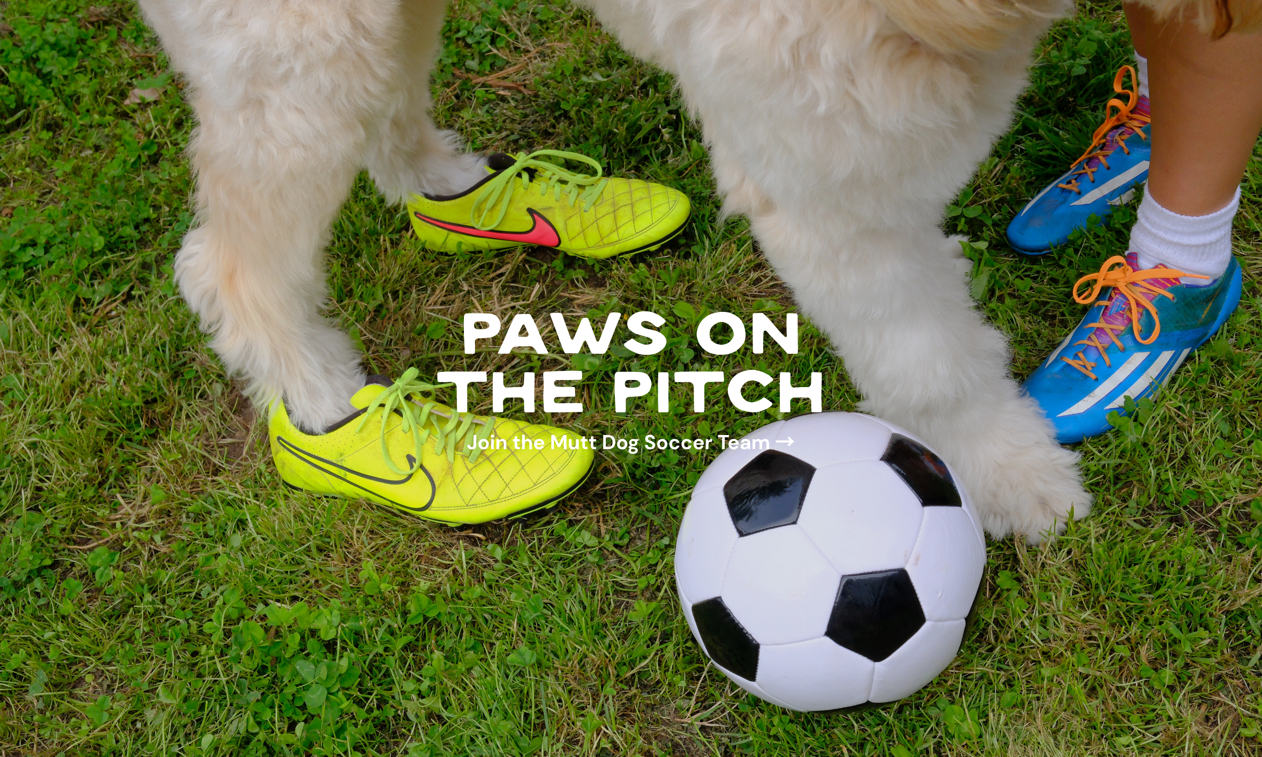 Mutt Dog Soccer Team