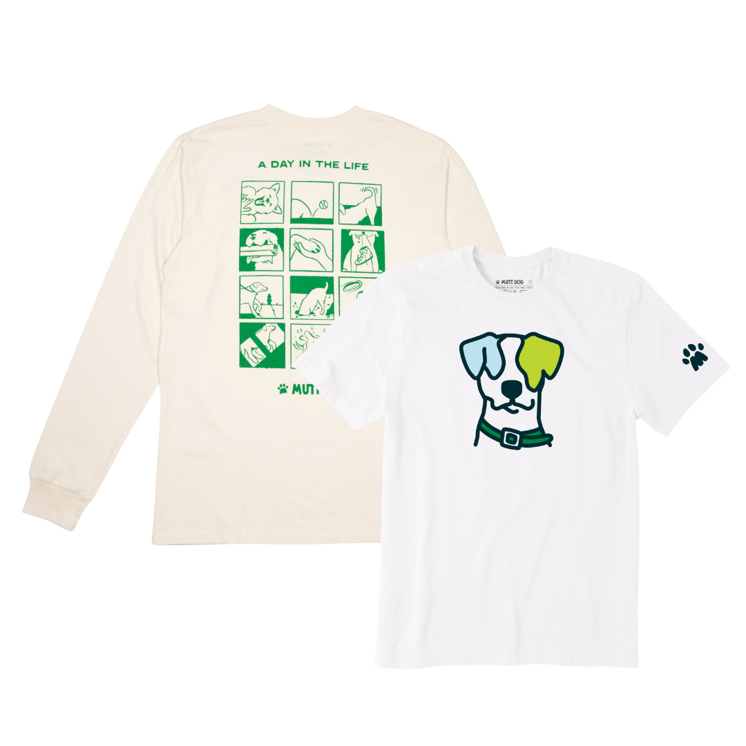 Walk Essentials Bundle