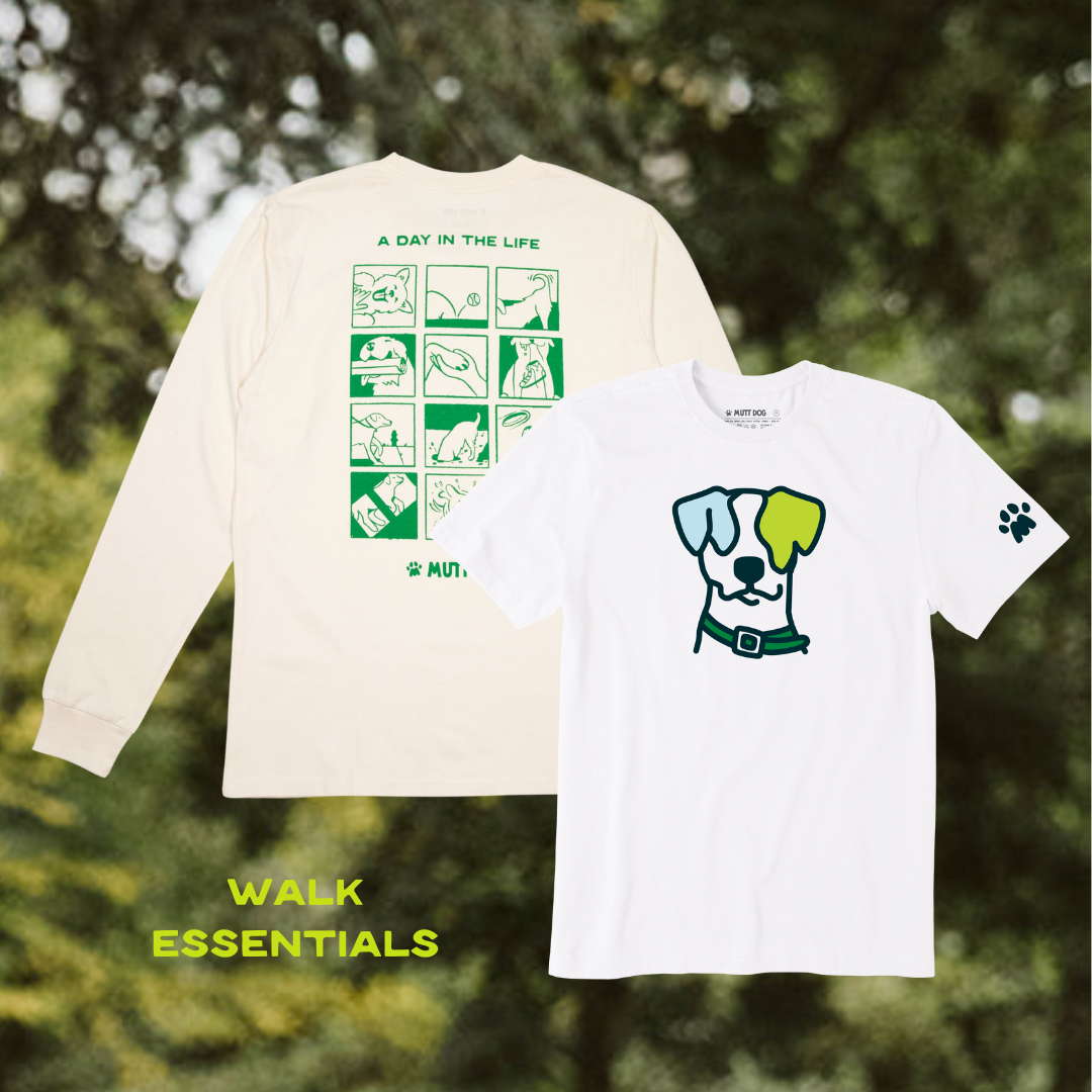 Walk Essentials Bundle